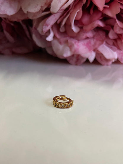 Ring Nospin